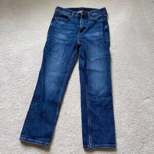 Banana Republic High Rise Straight Dark Wash Jeans Size 28 Short